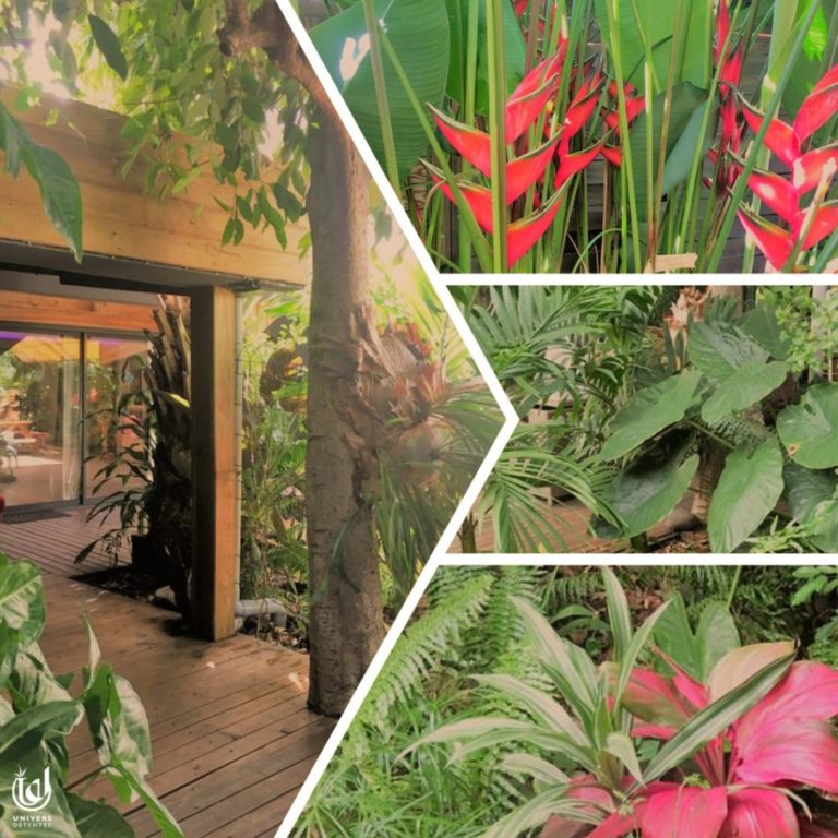 UD SNAPSHOT 1 2021 1024x1024 1 768x768