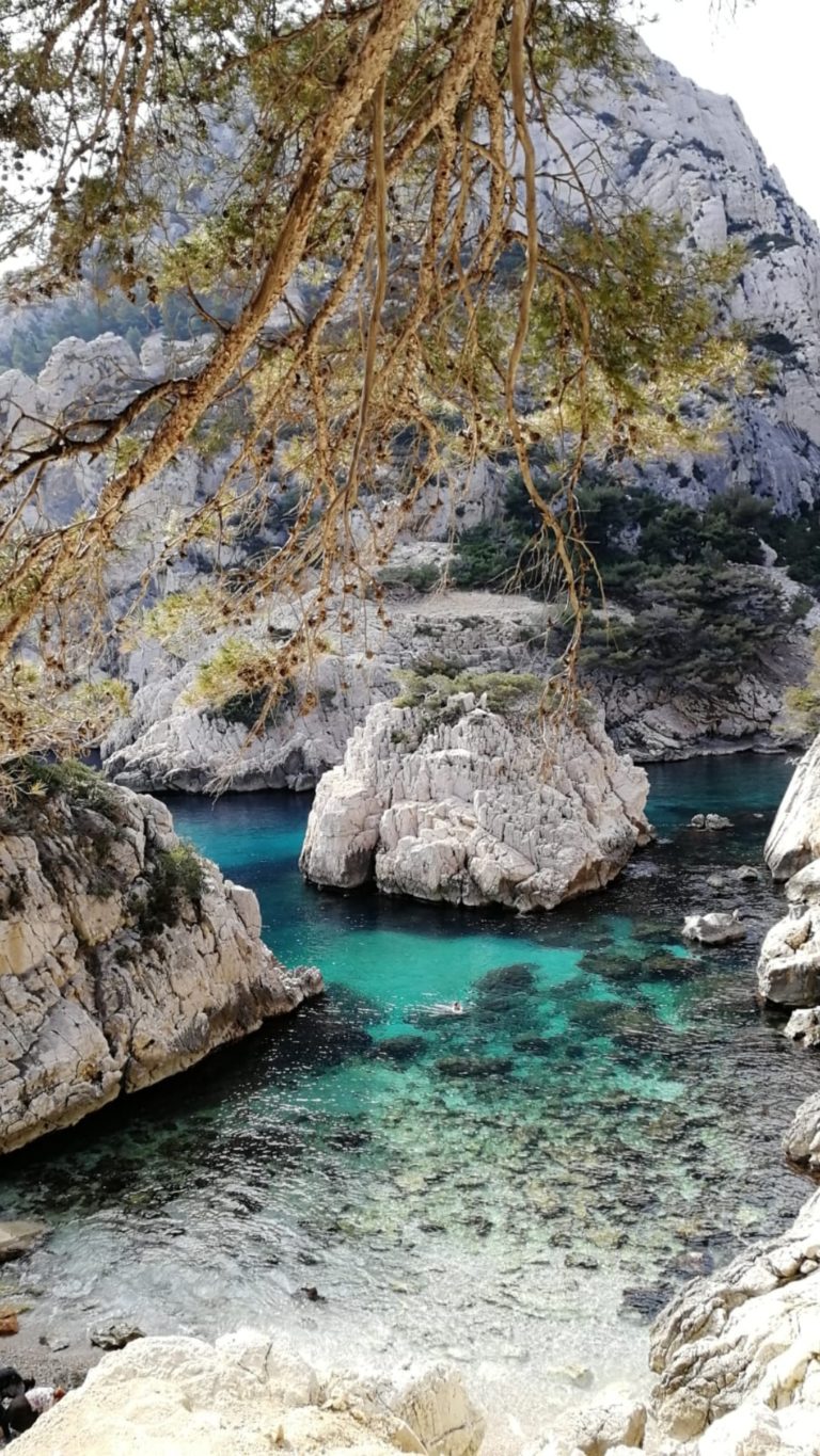 Screenshot 20210429 005541 com.whatsapp 768x1365