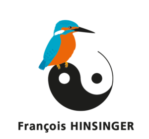 LOGO FRANCOIS HINSINGER nom 300x281