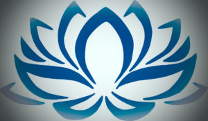 Logo2 300x175