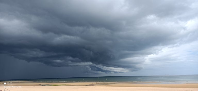 1668673343729 1 768x355