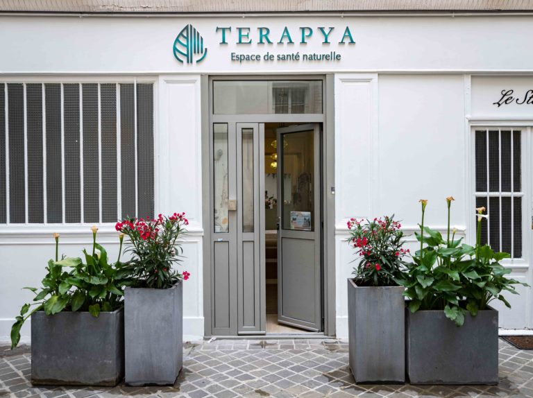 Terapya entree 768x574