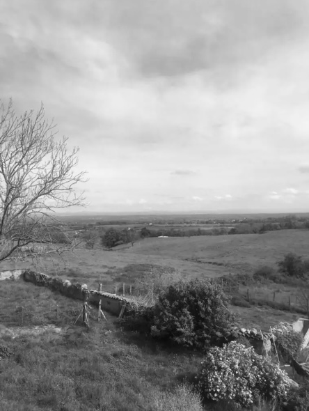 ODAMAYA - Saint Germain Laval