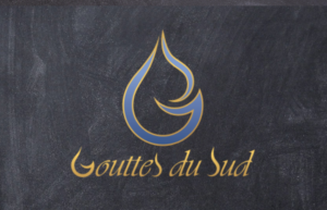 CDV VECTO GOUTTES DU SUD.pdf1  300x193