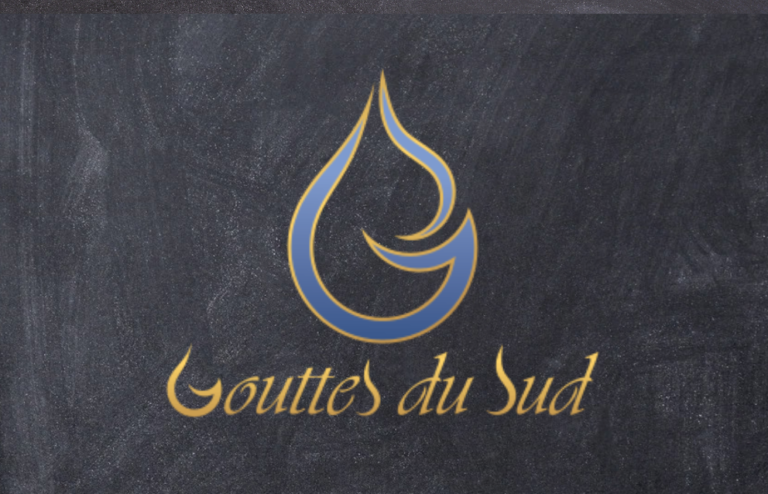 CDV VECTO GOUTTES DU SUD.pdf1  768x494
