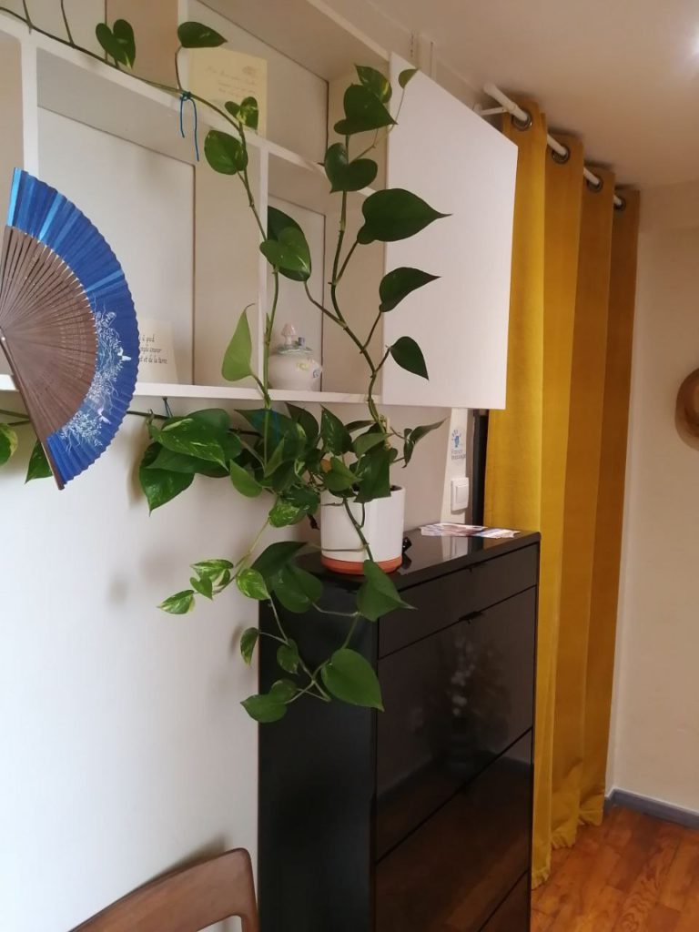 photo 2025 09 10 21 34 30 768x1024