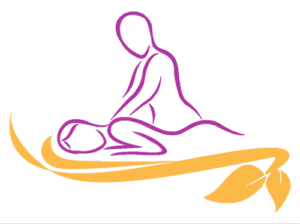 logo vanotti couleur 500 300x224