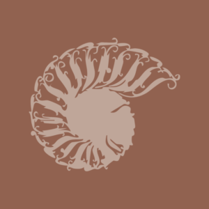 Photo de profil4 2 624x624 1 300x300