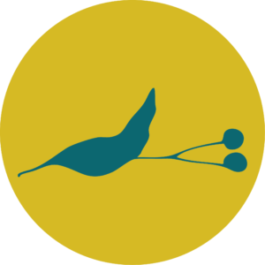 logo 300x300